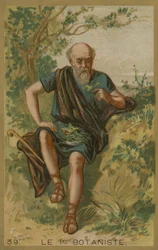 Der erste Botaniker